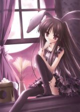 BUY NEW tinkerbell - 119756 Premium Anime Print Poster